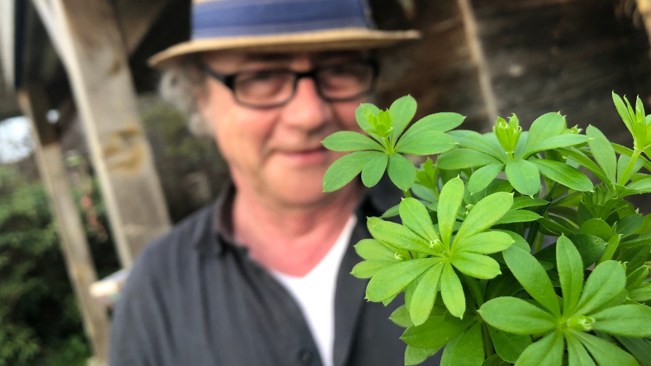 Jens Schellhass mit Waldmeister